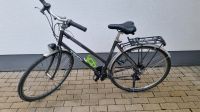 Fahrrad Trek 28 Innenstadt - Köln Altstadt Vorschau