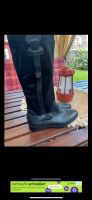 Tommy Hilfiger Schuhe Stiefel Wildleder 38/39 sezane Duisburg - Hamborn Vorschau