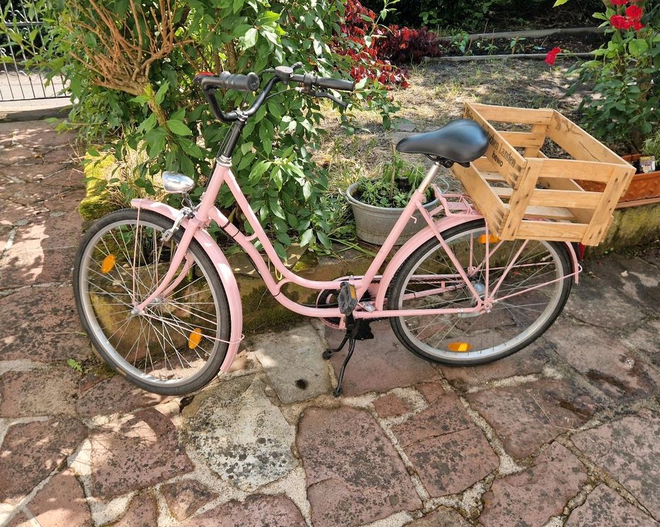 26 Zoll Damenrad / Fahrrad / Stadtrad retro rosa in Wiesloch