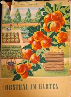 Obstbau im Garten - Buch 1956 Brandenburg - Luckenwalde Vorschau