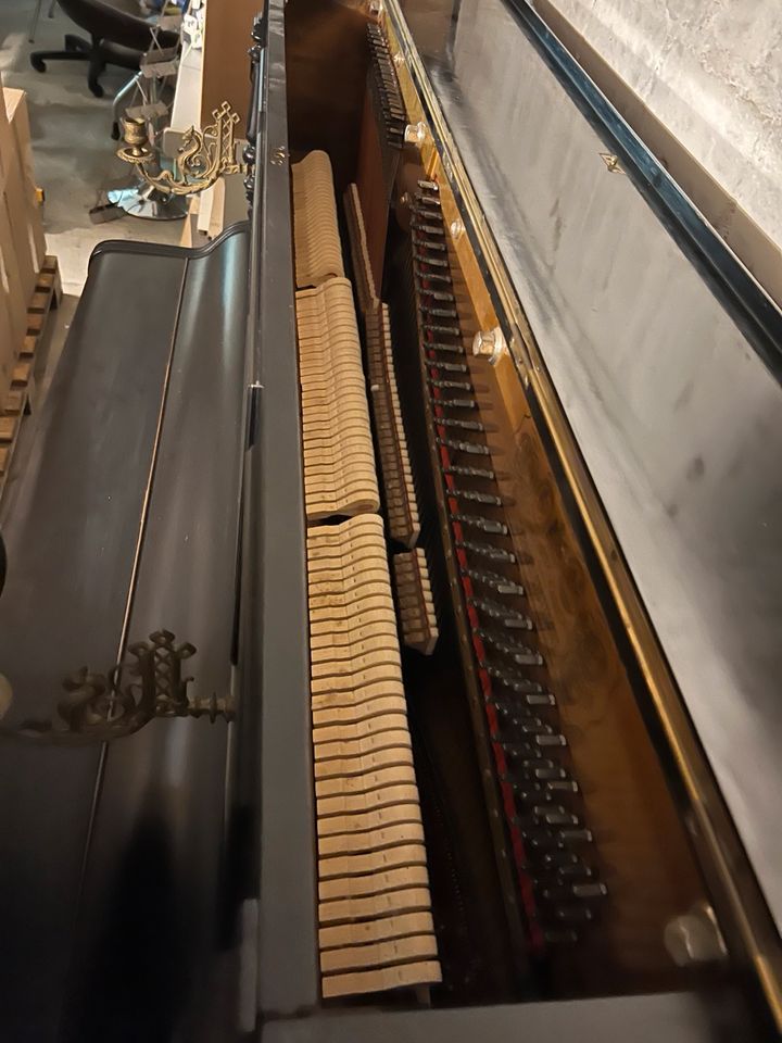 Klavier Musik in Bergkamen