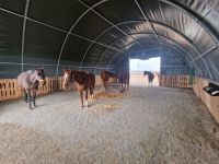 9,15 x 12,00 Meter - Lagerhalle PVC Folie Grün - Stabile Überdachungslösung - Winterfest - Robuster Schutz gegen Wind Feuchtigkeit Kälte Regen Schnee - Aufbau ohne Genehmigung - Statik verfügbar Hamburg-Mitte - Hamburg Altstadt Vorschau