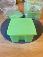 Neu Tupperware Prima Klima Frische Oase grün 1 l Hessen - Wiesbaden Vorschau