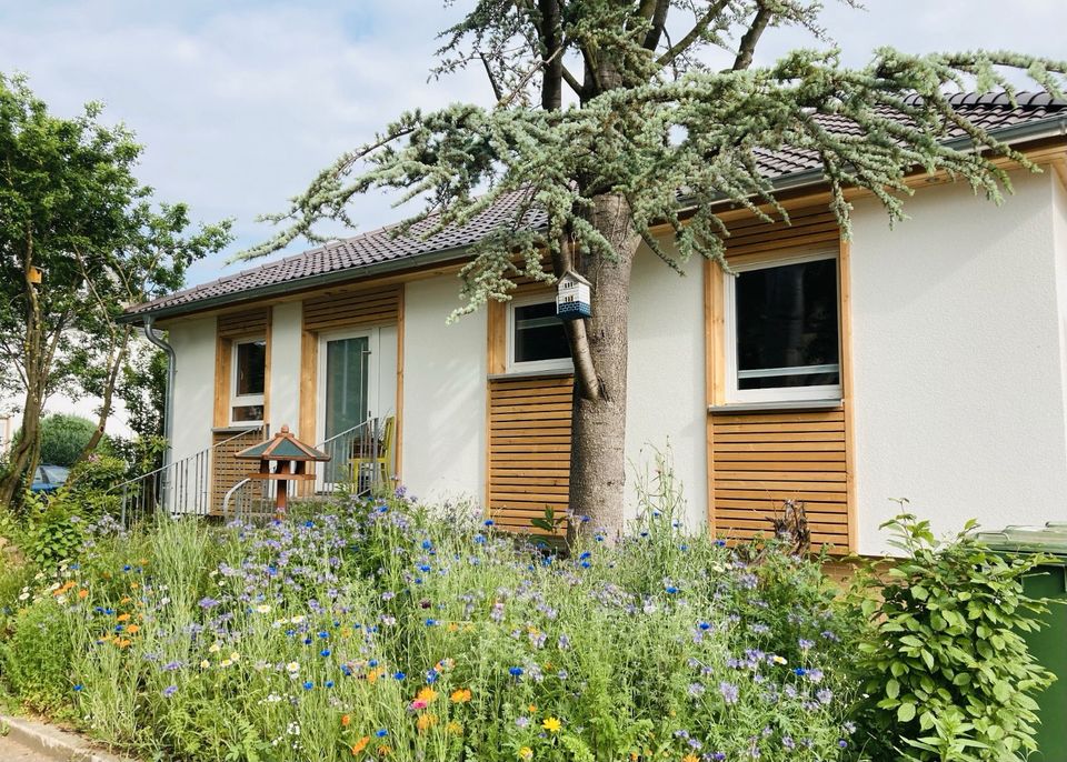 Ferienhaus Urwald 1-8 Pers. mit Sauna, Nähe Tierpark Sababurg in Hofgeismar