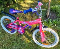 Fahrrad BMX-Kinderfahrrad Maui Miss Sachsen - Tannenberg Vorschau
