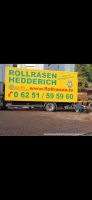 Rollrasen vom Produzent Mega günstig mit Lieferung Rhein Main Neckar Hessen - Einhausen Vorschau