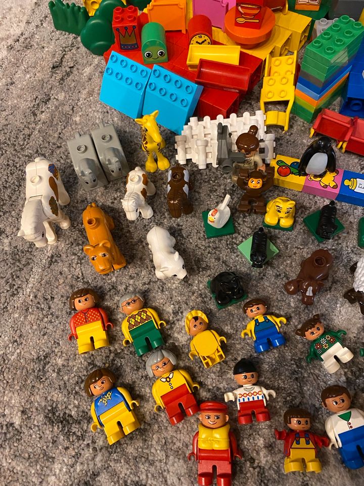 Lego Duplo Paket in Oberhausen