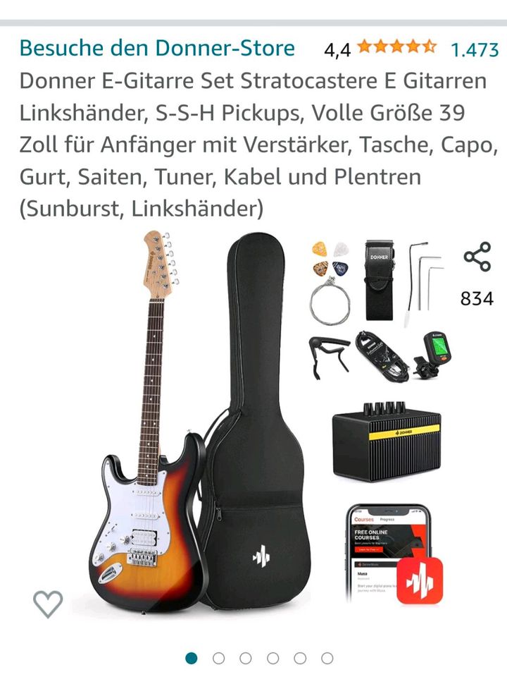 E-Gitarre für Linkshänder in Hof (Saale)