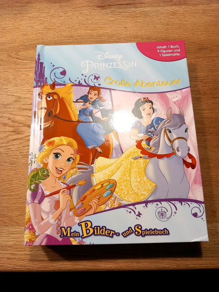 Bilder- und Spielebuch Disney Prinzessin in Ayl Saar