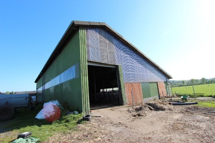 Landwirtschaftlicher Betrieb mit 2 Wohneinheiten, Stall und PV-Anlage in Freienwill (bei Flensburg)