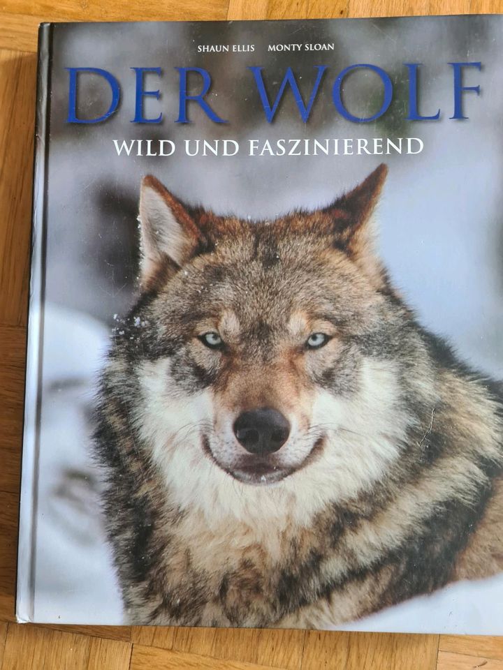 Buch Bildband Der Wolf in Amstetten