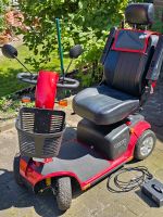 Elektro scooter Niedersachsen - Ganderkesee Vorschau