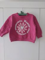 Sweatshirt Zara Nordrhein-Westfalen - Haltern am See Vorschau