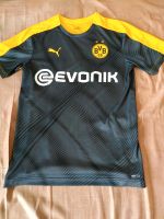 BVB Borussia Dortmund Prematch Shirt Gr M Puma sehr guter Zustand Hessen - Heuchelheim Vorschau