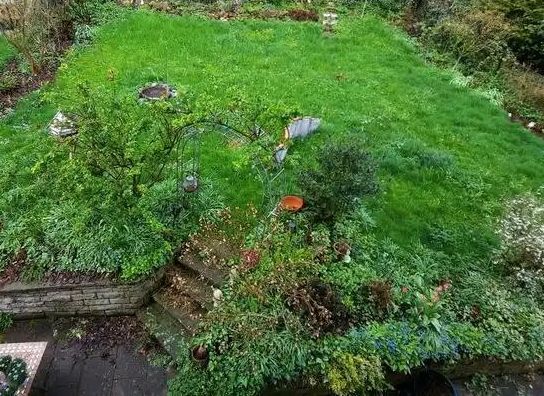 Alles rund um's Haus-Garten und Firma in Zimmern ob Rottweil