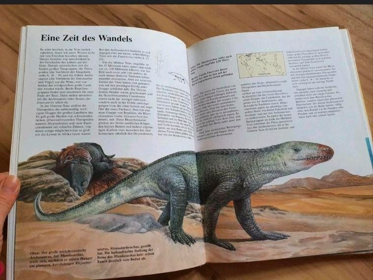 Dinosaurier regierten die Welt Buch D. Norman J. Sibbick Lektüre in Meerane