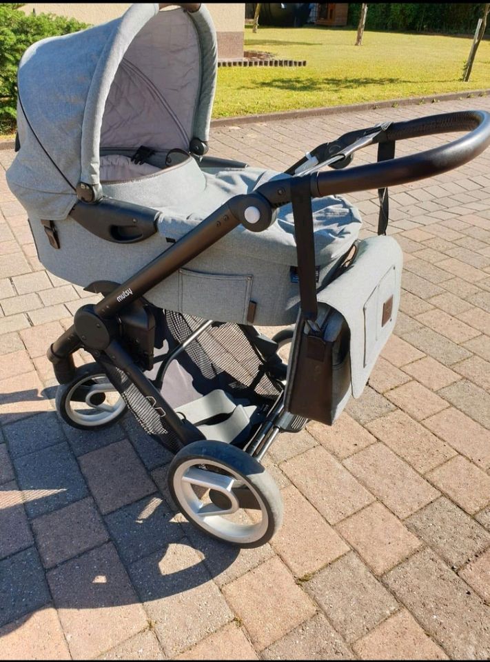 Mutsy Evo Kinderwagen in Fischbach bei Dahn