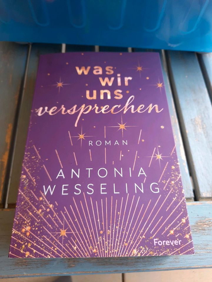 Buch  was wir uns versprechen Antonia Wesseling in Unterensingen