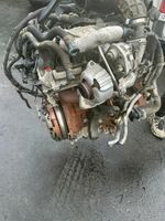 Motor  Ford  Transit  Custom YMF6 130ps 24tkm komplett Berlin - Spandau Vorschau