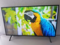 Samsung Smart TV,  43 Zoll, 4K UHD, GU43AU7179UXZG Baden-Württemberg - Pfedelbach Vorschau