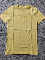 Esprit T-Shirt Gr. 140 (S) Bayern - Speichersdorf Vorschau