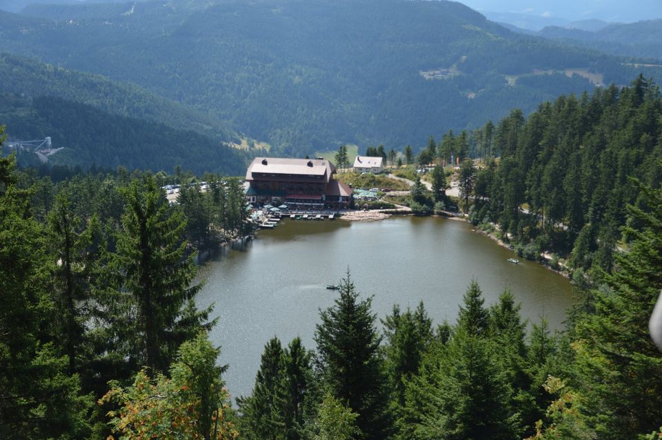 Urlaub Juli, Schwarzwald, Baiersbronn, ***Ferienwohnung, Imkerei in Baiersbronn