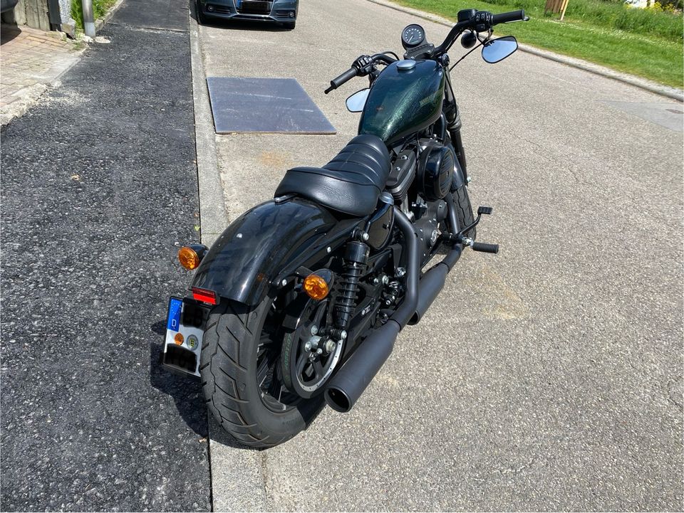 Harley-Davidson Iron 883 / Chameleon Flake / Scheckheft in Ludwigsburg