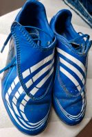 Adidas Traxion Fußballschuhe Kinder Gr 32 Schleswig-Holstein - Idstedt Vorschau