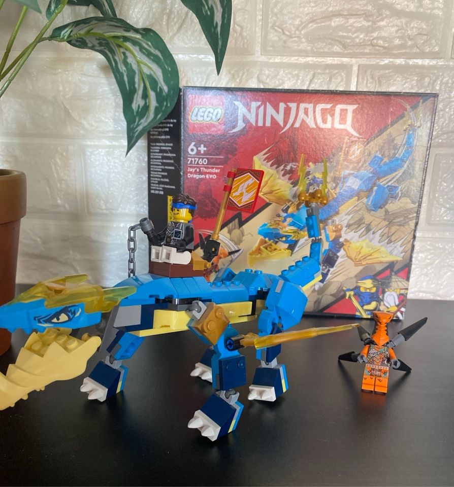 Lego Ninjago in Blieskastel