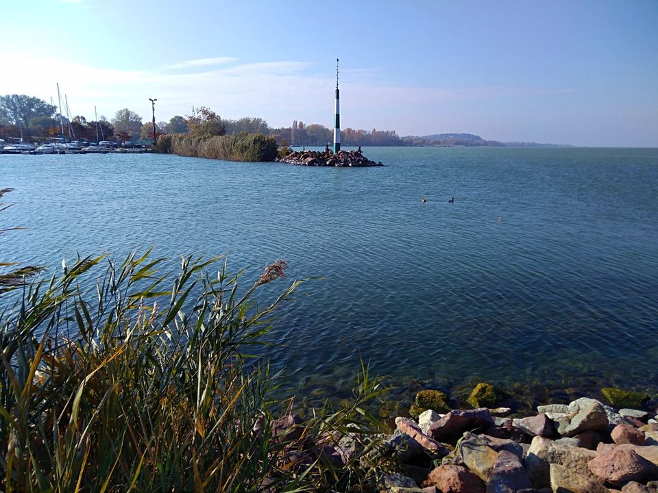 Ferienwohnung Ungarn Plattensee Balaton  Hund Urlaub Ferienhaus in Lebach