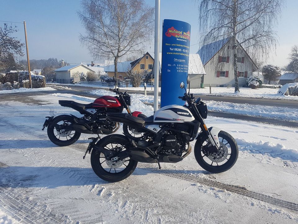 Moto Morini Seiemmezzo STR 6 1/2 35KW/44KW in Burtenbach