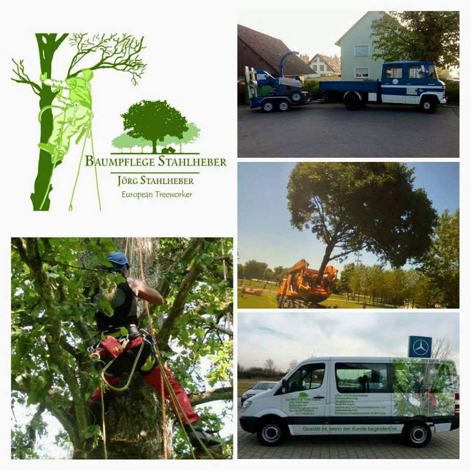 Baumpflege - Problemfällungen - Gartenpflege - Heckenschnitt in Burgthann 