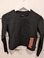 Puma Shirt gr 38 Nordrhein-Westfalen - Warendorf Vorschau