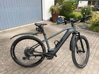 E-Moutainbike EXC 750 Reaction Hybrid 29" Bayern - Günzburg Vorschau