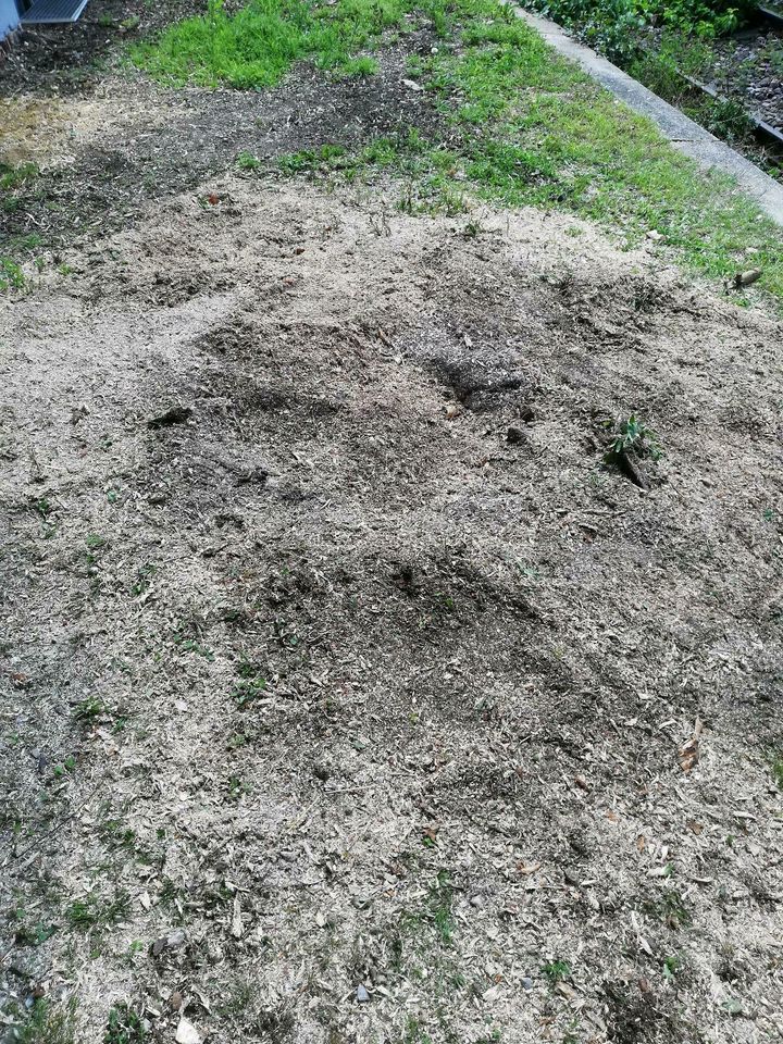 Baumstumpf entfernen, Wurzelstock entfernen, Hecken Rodung, Garte in Landshut