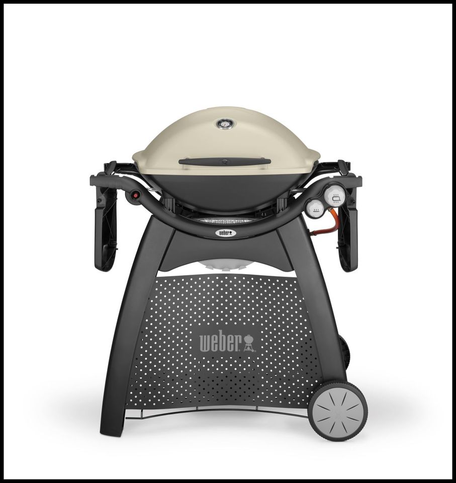 Weber Q 3000 Titanium mobiler Gasgrill Camping Garten in Dortmund