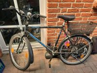 Fahrrad Diamond Black Herzogtum Lauenburg - Berkenthin Vorschau