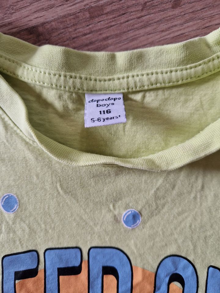 Jungen T-Shirt Gr. 116 hellgrün Hai in Ludwigshafen