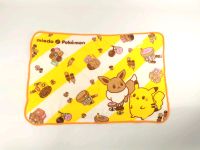 Pokemon Fleece Decke Evoli Pikachu / Anime Manga Niedersachsen - Braunschweig Vorschau