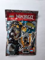 LEGO Ninjago  891611 Figur Cole ungeöffnete OVP Thüringen - Windehausen Vorschau