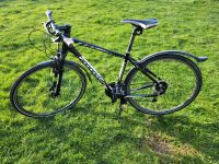 Fahrrad Cannondale Cross Bike 48 Rahmen, 28 Zoll Nordrhein-Westfalen - Krefeld Vorschau