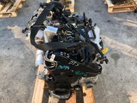 Motor DTS 2.0TDI Mit Anbauteile Audi Seat Skoda VW Niedersachsen - Braunschweig Vorschau