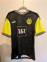 BVB Sondertrikot Niedersachsen - Belm Vorschau
