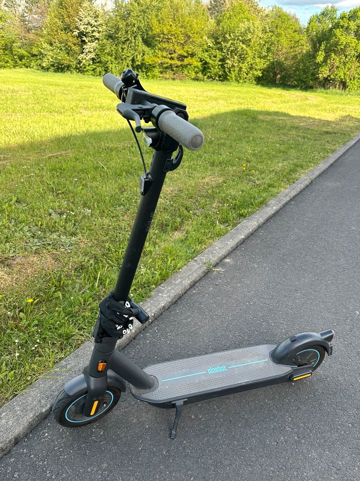 Segway Ninebot G30D Max E Scooter in Willingshausen