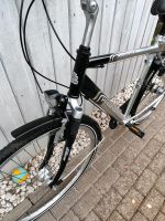 Pegasus Herren  Fahrrad 28 Zoll 7 Gang RH 60 cm Nordrhein-Westfalen - Ostbevern Vorschau