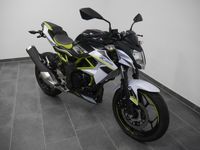 Kawasaki Z 125 //3700 KM//2021//Euro  5 Niedersachsen - Friesoythe Vorschau