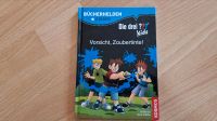 Buch Die drei Kids Vorsicht Zaubertinte Sachsen - Struppen Vorschau