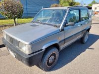 Fiat Panda 4x4*Trecking*Allrad zuschaltbar Baden-Württemberg - Lahr (Schwarzwald) Vorschau