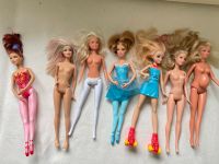 Diverse Barbies Baden-Württemberg - Freiburg im Breisgau Vorschau