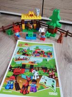 Lego Duplo 10582 Wildtiere Tiere Wald Gehege Tiergehege Bayern - Grafenwöhr Vorschau